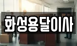 화성용달이사