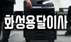 화성용달이사