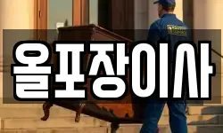 올포장이사
