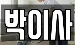 박이사