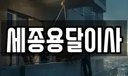 세종용달이사