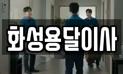 화성용달이사