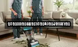 입주청소이사청소원룸청소거주청소특수청소곰팡이제거청소