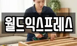 월드익스프레스