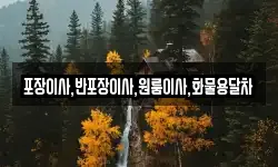 포장이사,반포장이사,원룸이사,화물용달차