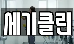 세기클린