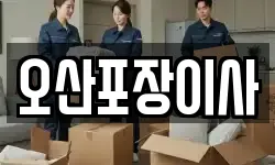 경기 오산시 세교동 이사,용달이사,포장이사,원룸이사,보관이사