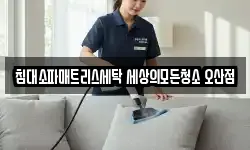 침대소파매트리스세탁 세상의모든청소 오산점