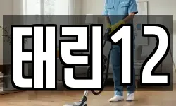 태린12