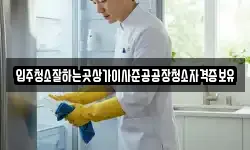 입주청소잘하는곳상가이사준공공장청소자격증보유