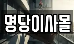 명당이사몰
