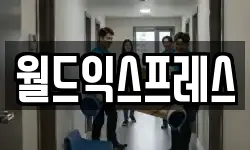 월드익스프레스