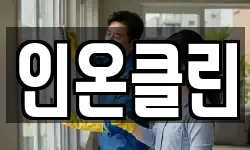 인온클린