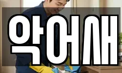 악어새