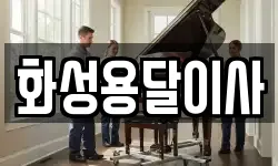 화성용달이사