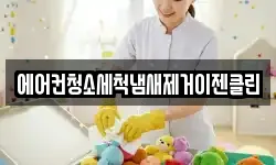 에어컨청소세척냄새제거이젠클린