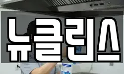 뉴클린스