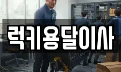럭키용달이사
