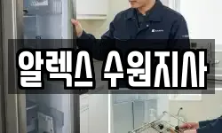 알렉스 수원지사