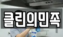 클린의민족