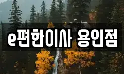 경기 용인시 기흥구 보라동 이사,용달이사,포장이사,원룸이사,보관이사