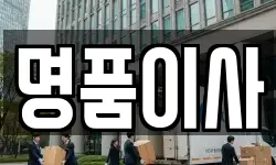 명품이사