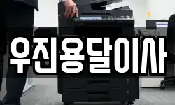 우진용달이사