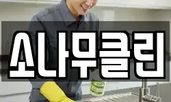 소나무클린