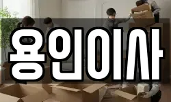 용인이사