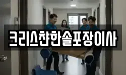 크리스챤한솔포장이사