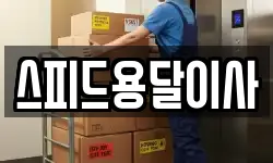 스피드용달이사