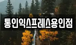 경기 용인시 기흥구 중동 이사,용달이사,포장이사,원룸이사,보관이사