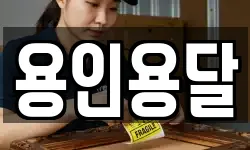 용인용달