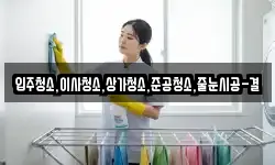 입주청소,이사청소,상가청소,준공청소,줄눈시공-결