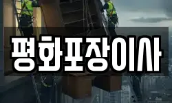 평화포장이사