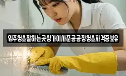 입주청소잘하는곳상가이사준공공장청소자격증보유