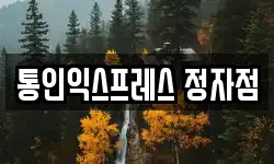 경기 용인시 수지구 동천동 이사,용달이사,포장이사,원룸이사,보관이사