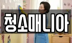 청소매니아