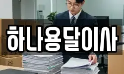 하나용달이사