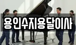 용인수지용달이사