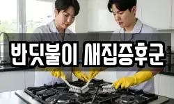 경기 용인시 처인구 남동 청소,입주청소,사무실청소,에어컨청소