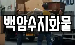 경기 용인시 처인구 백암면 이사,용달이사,포장이사,원룸이사,보관이사
