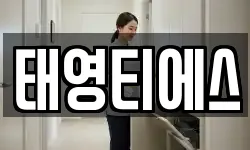 태영티에스