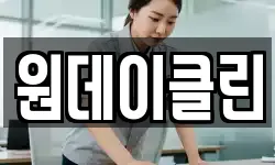 원데이클린