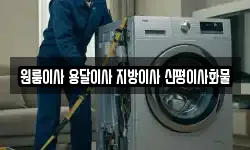 원룸이사 용달이사 지방이사 신평이사화물