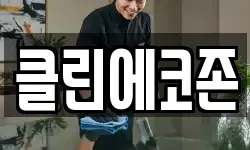 클린에코존