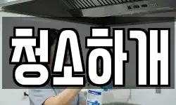 청소하개