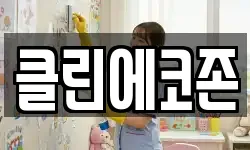 클린에코존