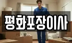 평화포장이사
