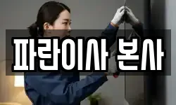 파란이사 본사